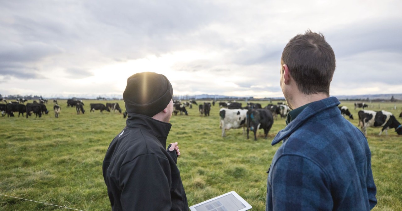 On-Farm Efficiency Service