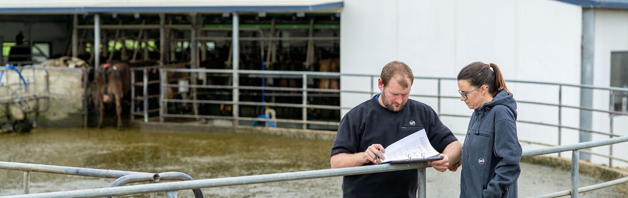 Milk Quality Service Visit