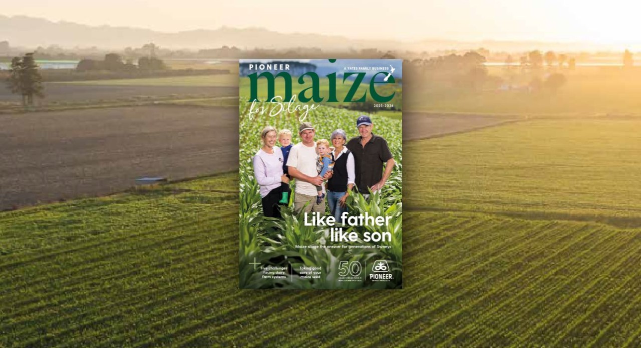 Maize for Silage catalogue