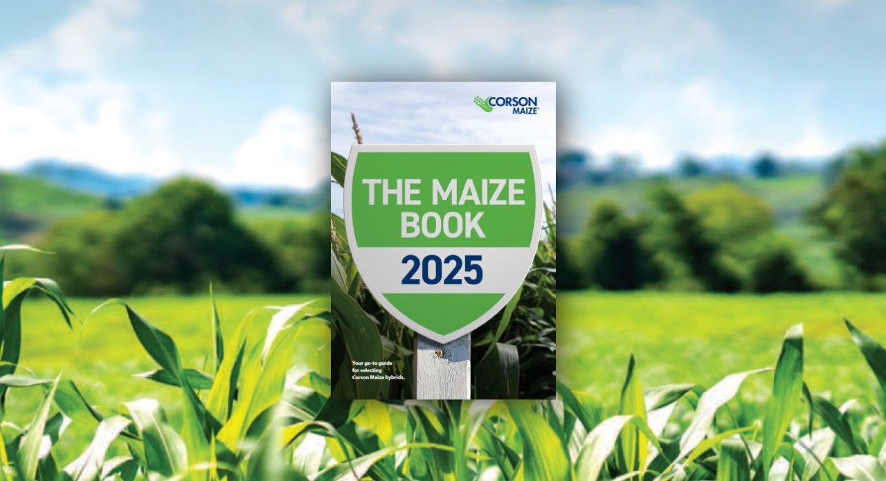 The Maize Book 2025
