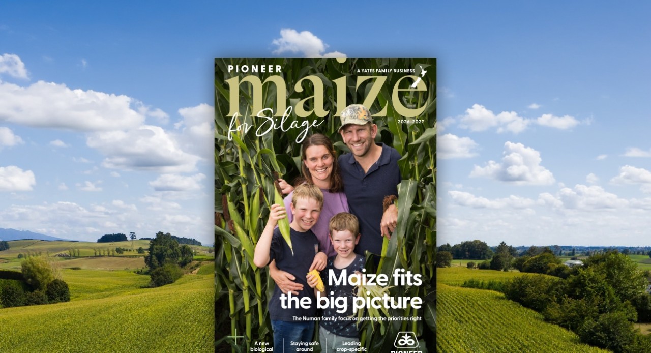 Pioneer Maize for Silage 2026-2027