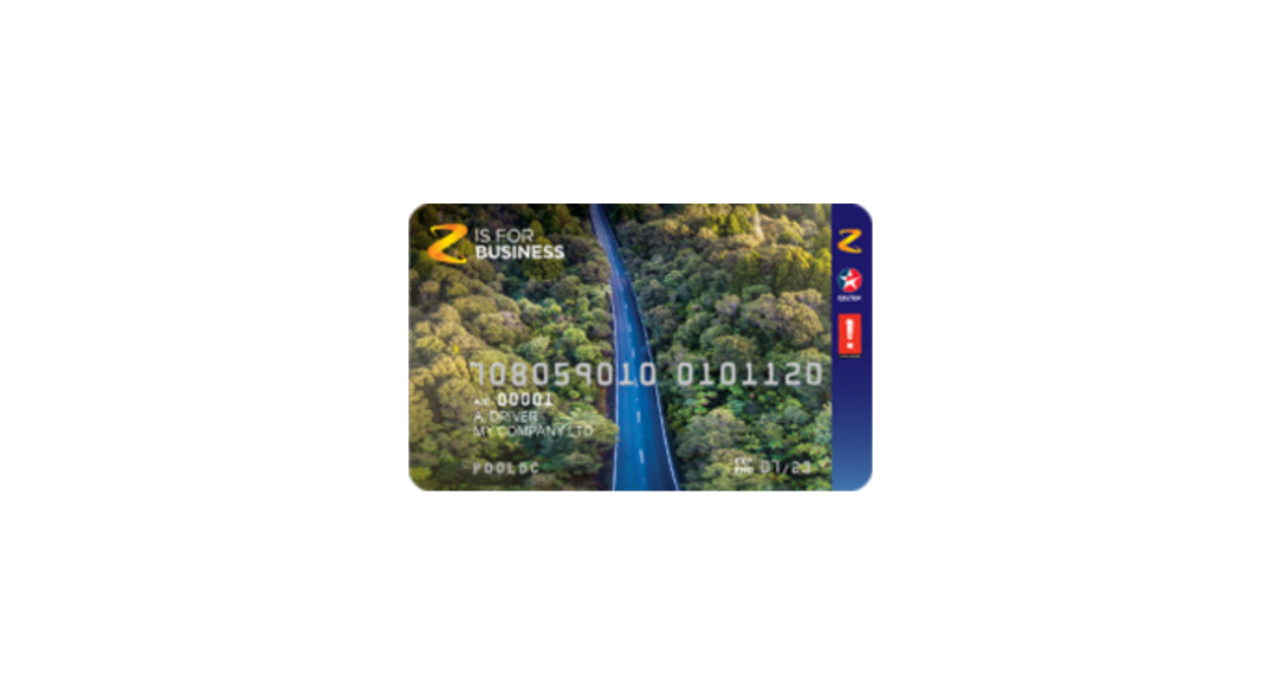 Z Business Plus