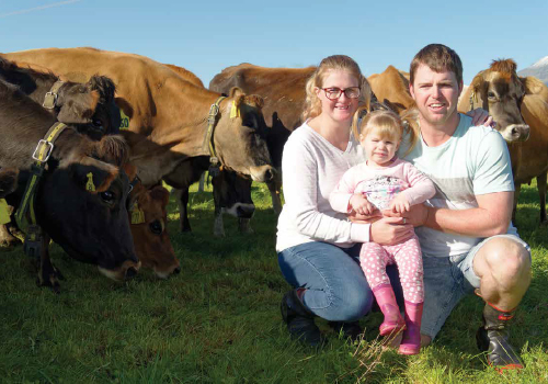 family with cows