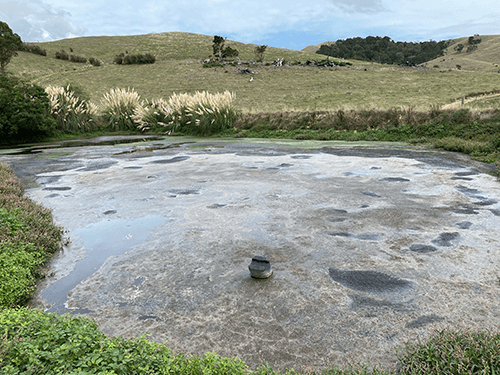 Effluent pond with sludge