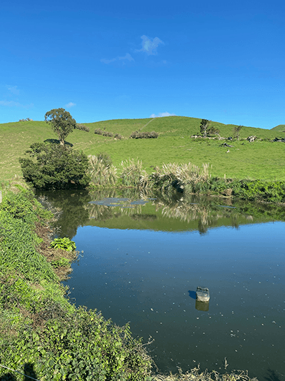 Clear effluent pond
