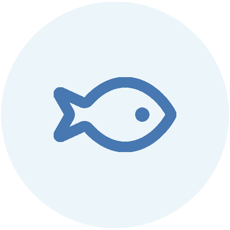 Fish icon