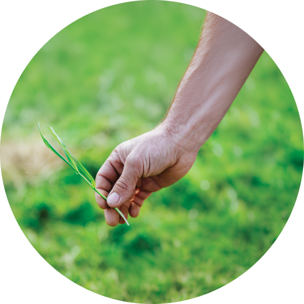 Card Circle Standard | Example – Image