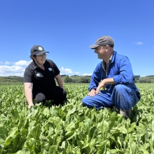 Card Square | Example