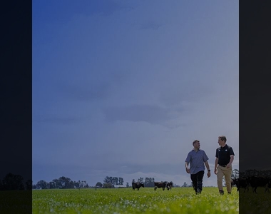 Campaign tile – Small | Example