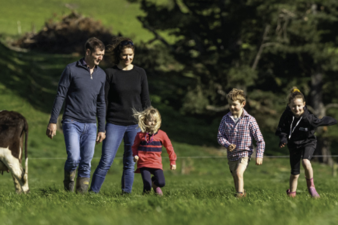Family walking across paddock