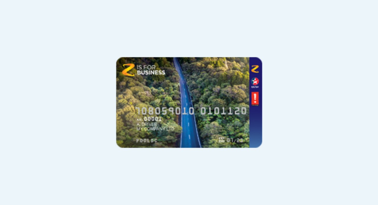 Z Business Plus