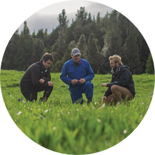 Fertilise for pasture growth