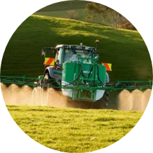 Control weeds early with agchem