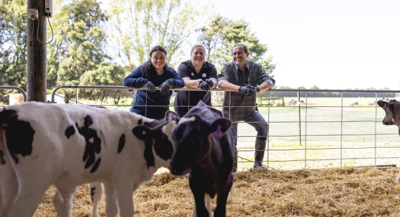 How do your calf-rearing practices stack up?