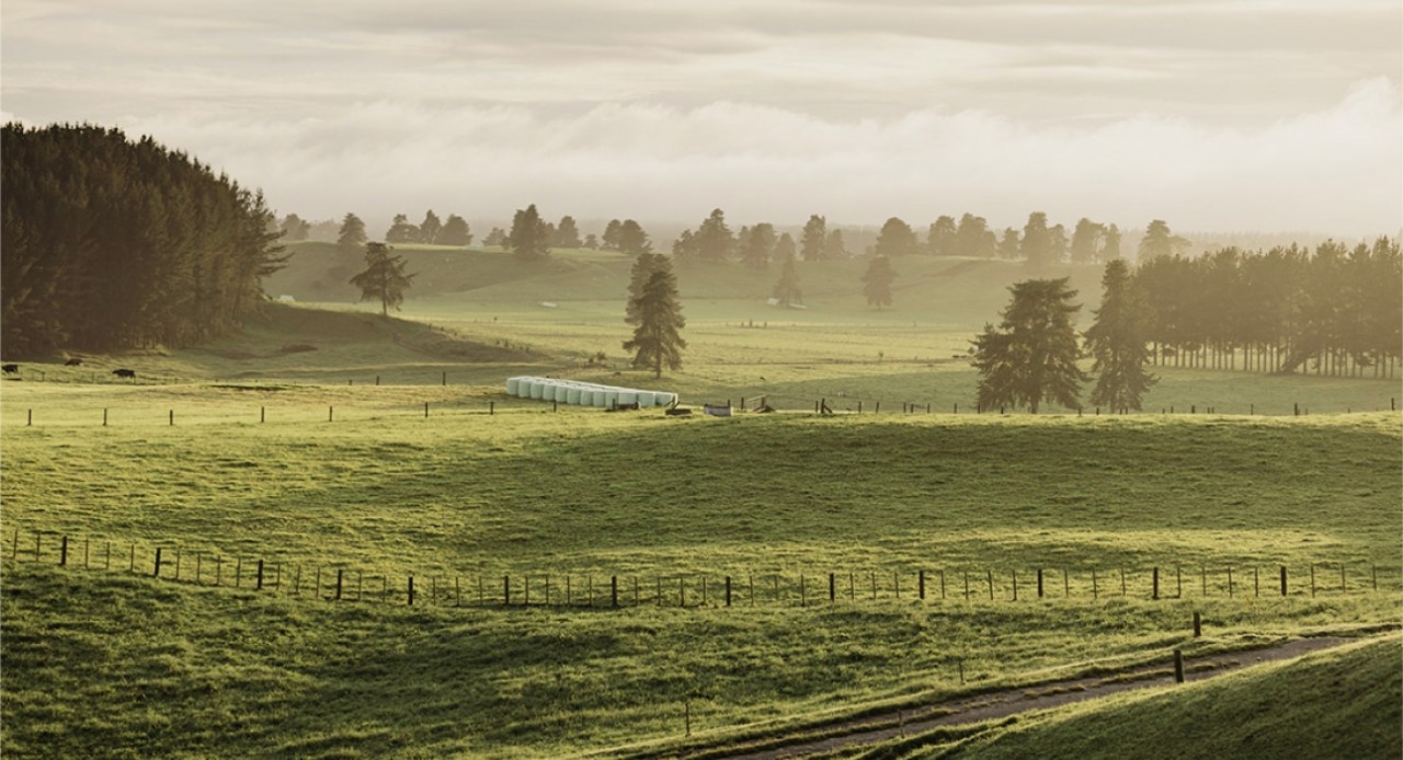 Winter nutrients: Keep them working