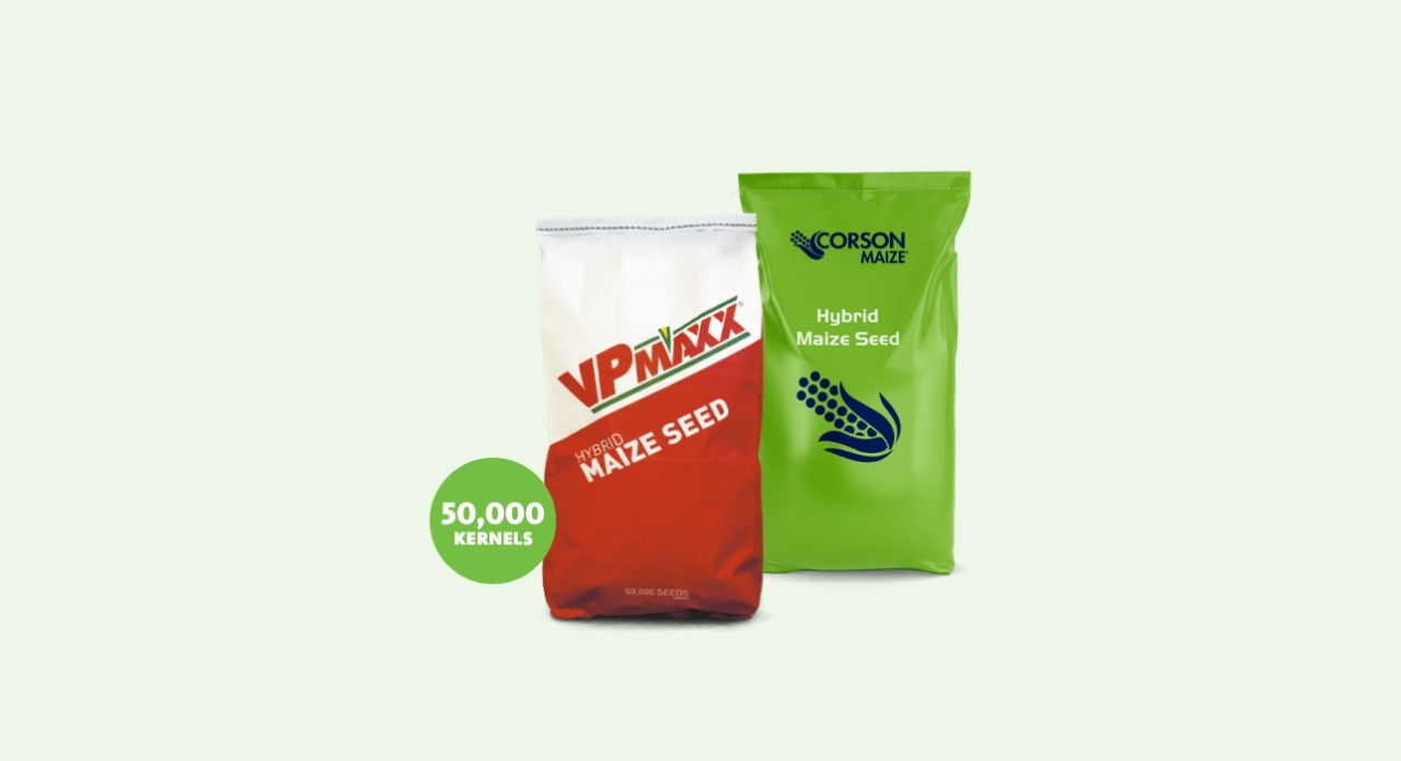Corson and VPMAXX Maize Seed