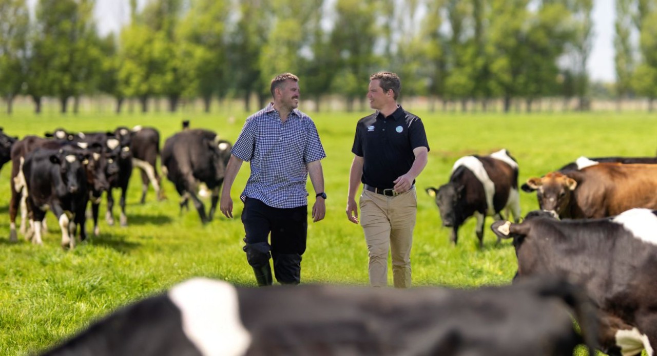 Technical Sales Representative