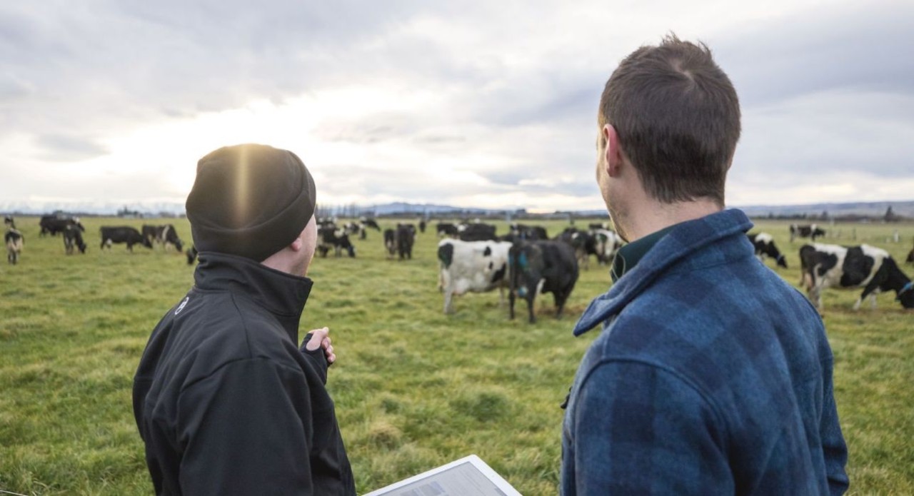 Sustainable Dairy Manager