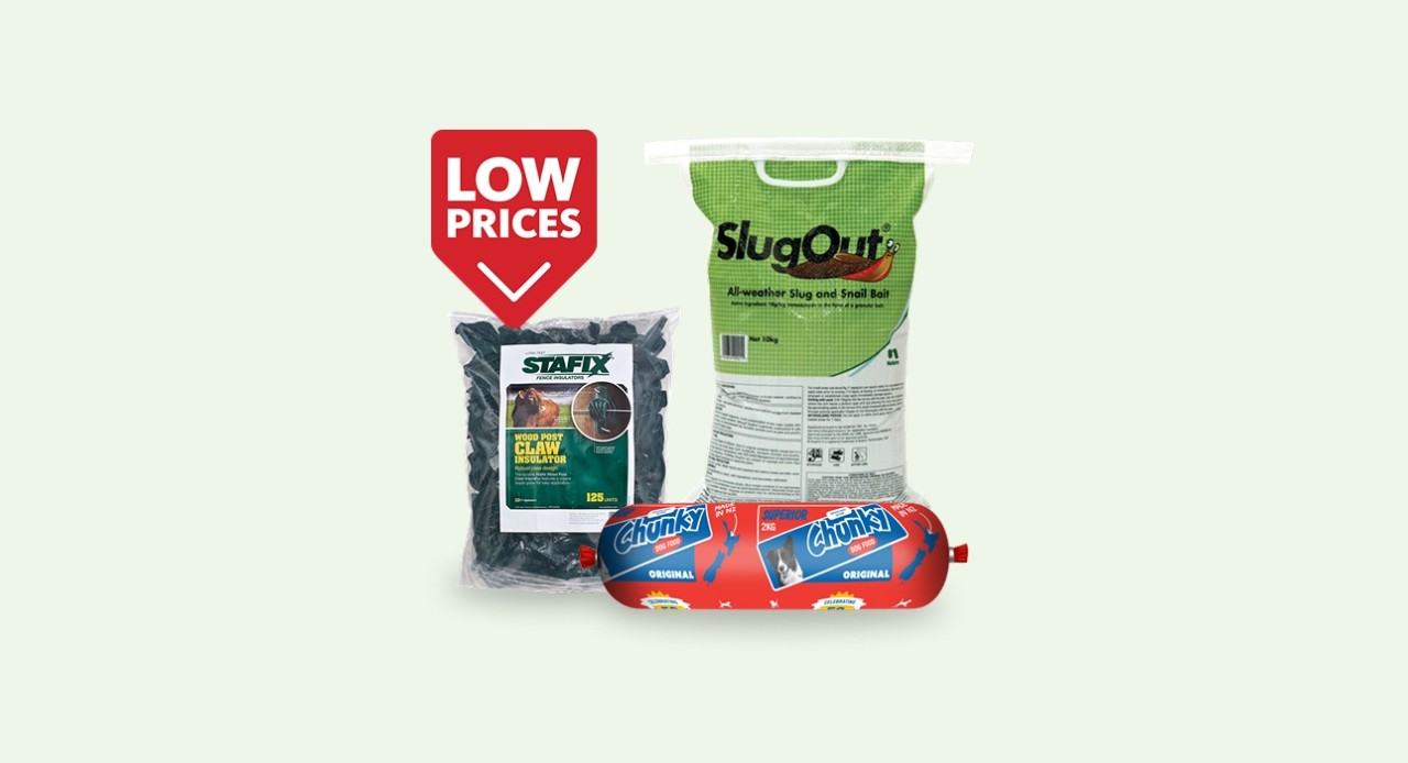 Monthly deals