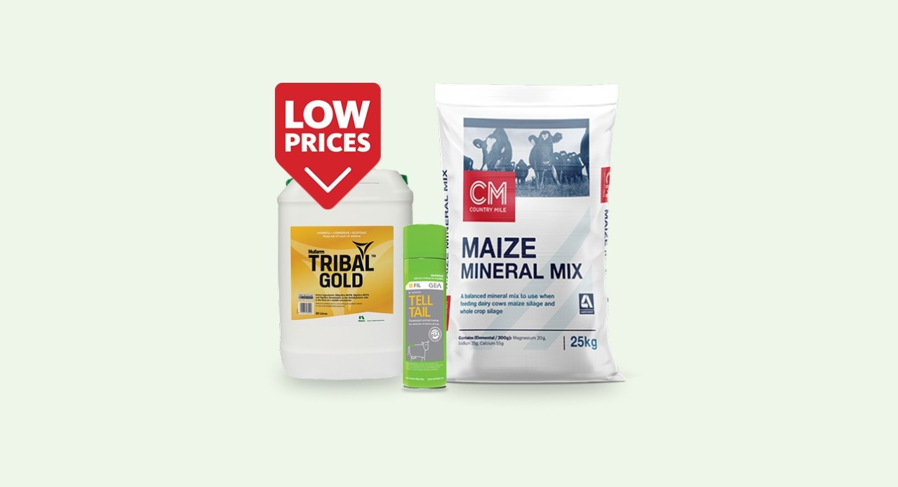 Monthly deals