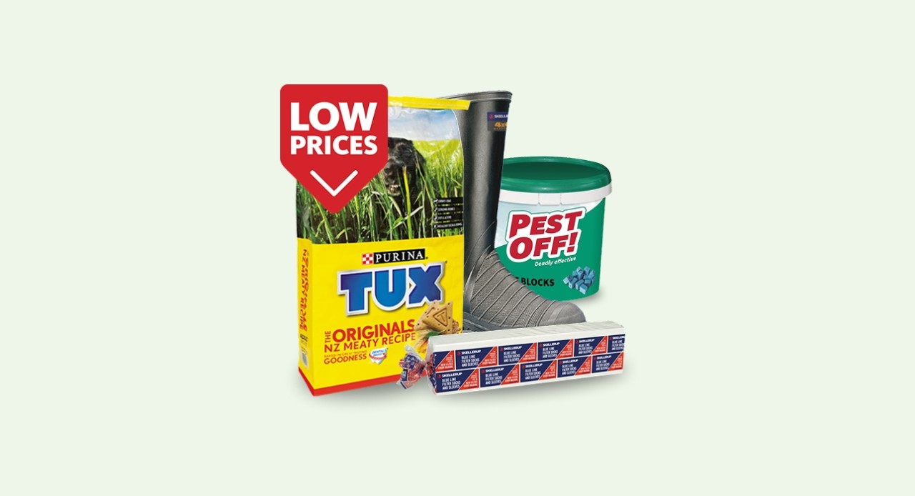 June deals