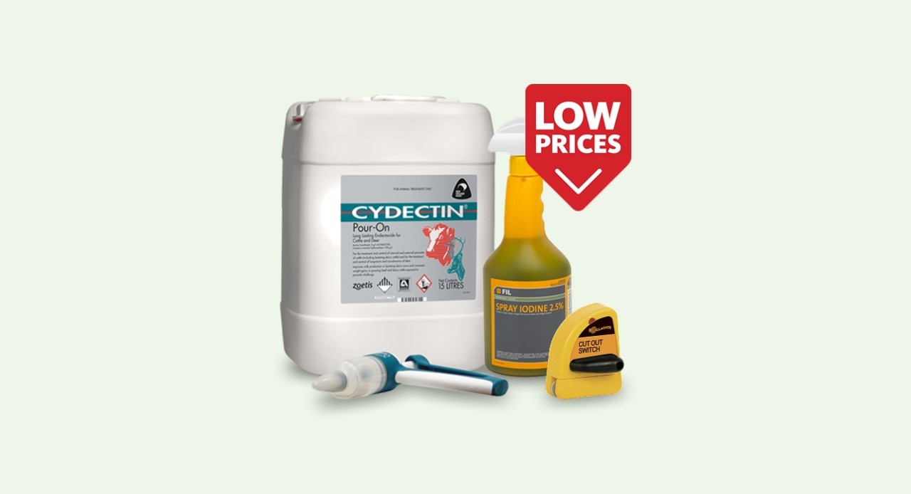 August deals