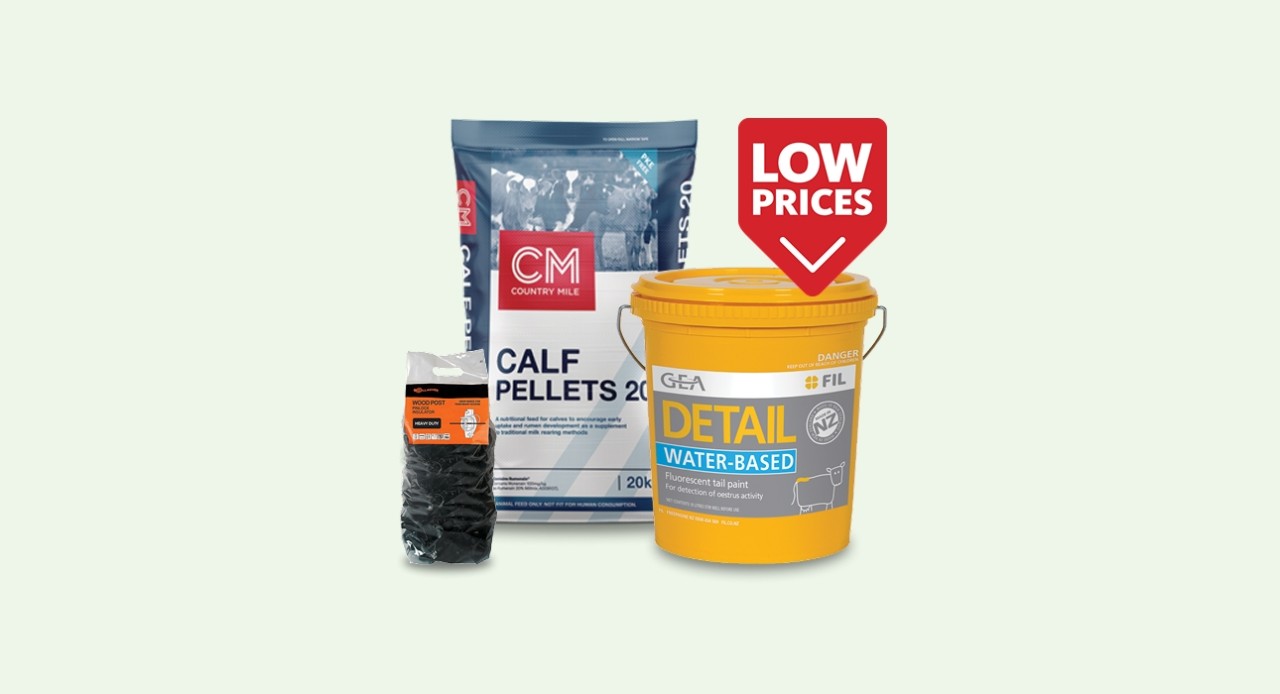 September deals