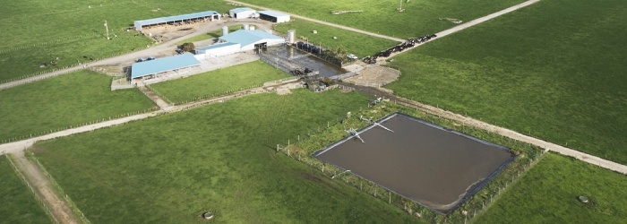 The Net Zero Pilot Dairy Farm is lifting its reproductive performance
