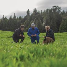 Optimise nitrogen fertiliser