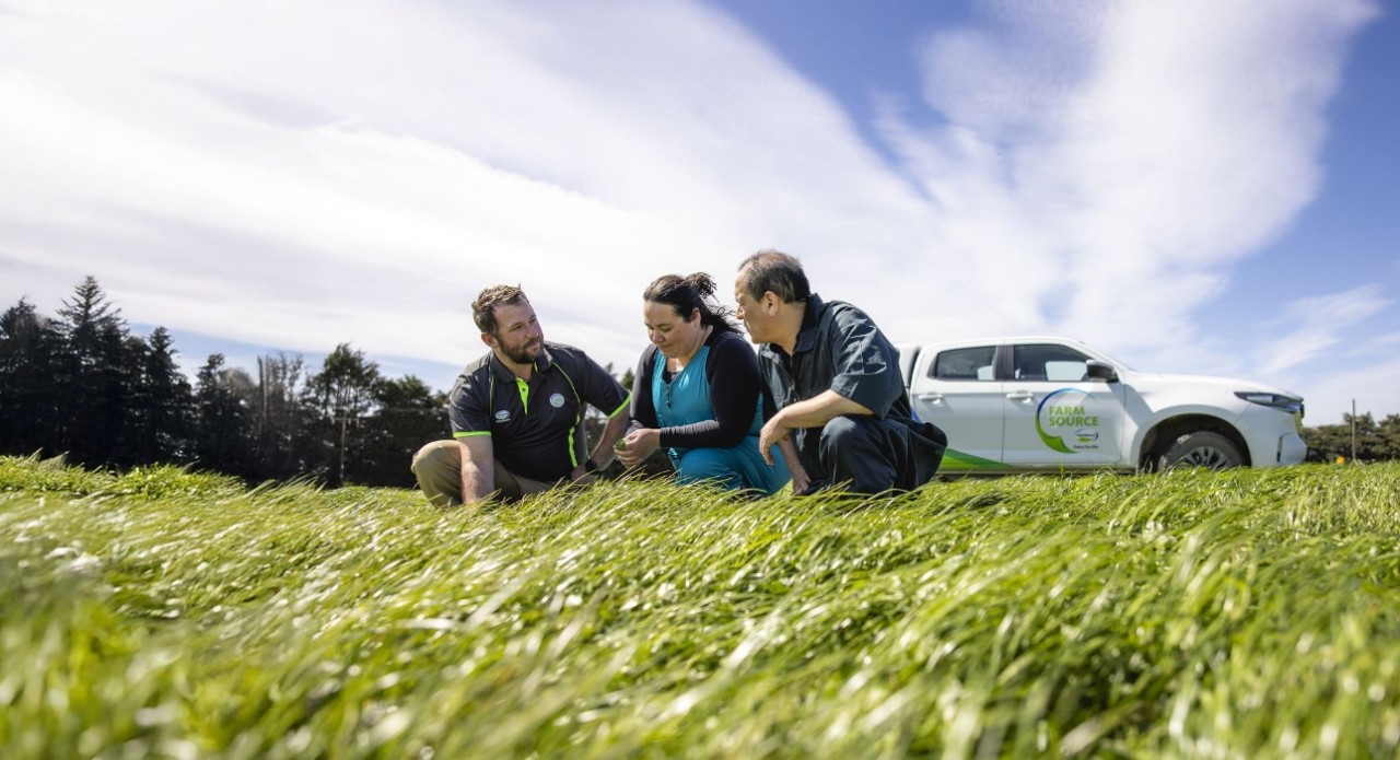 Best practice pasture renewal