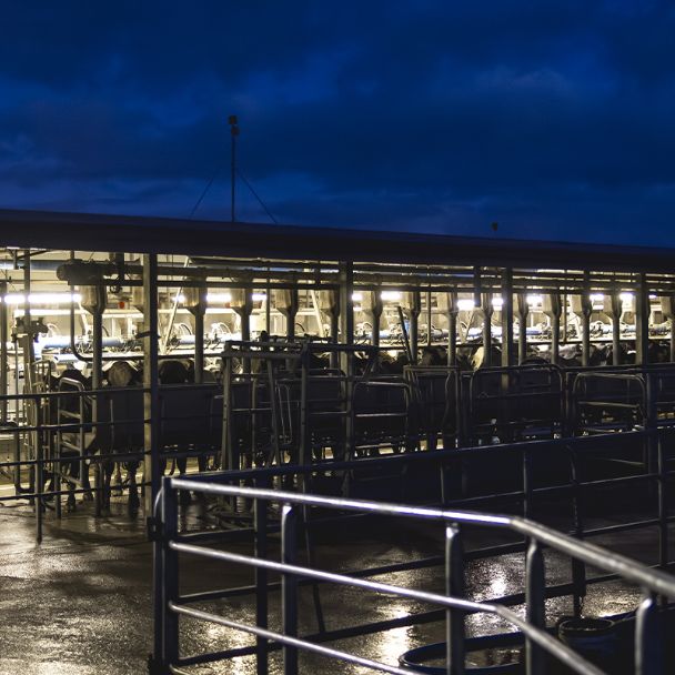 Maintain milk quality and production over the summer months