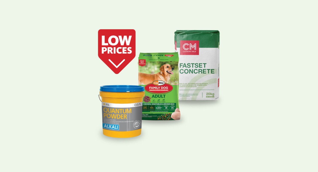 Monthly deals