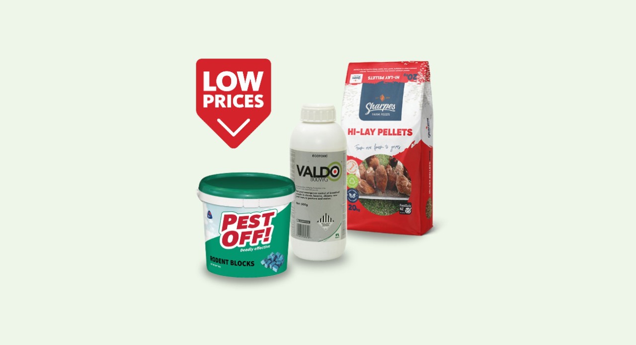 Monthly deals