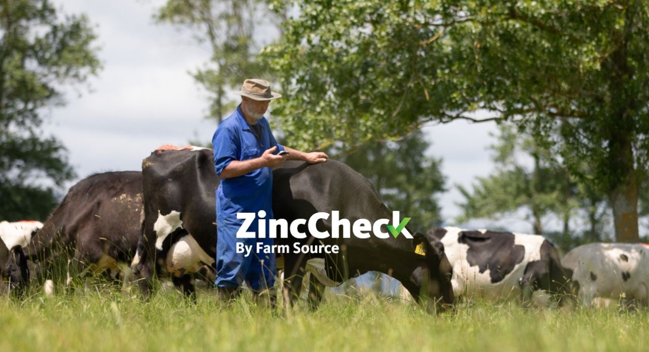 ZincCheck