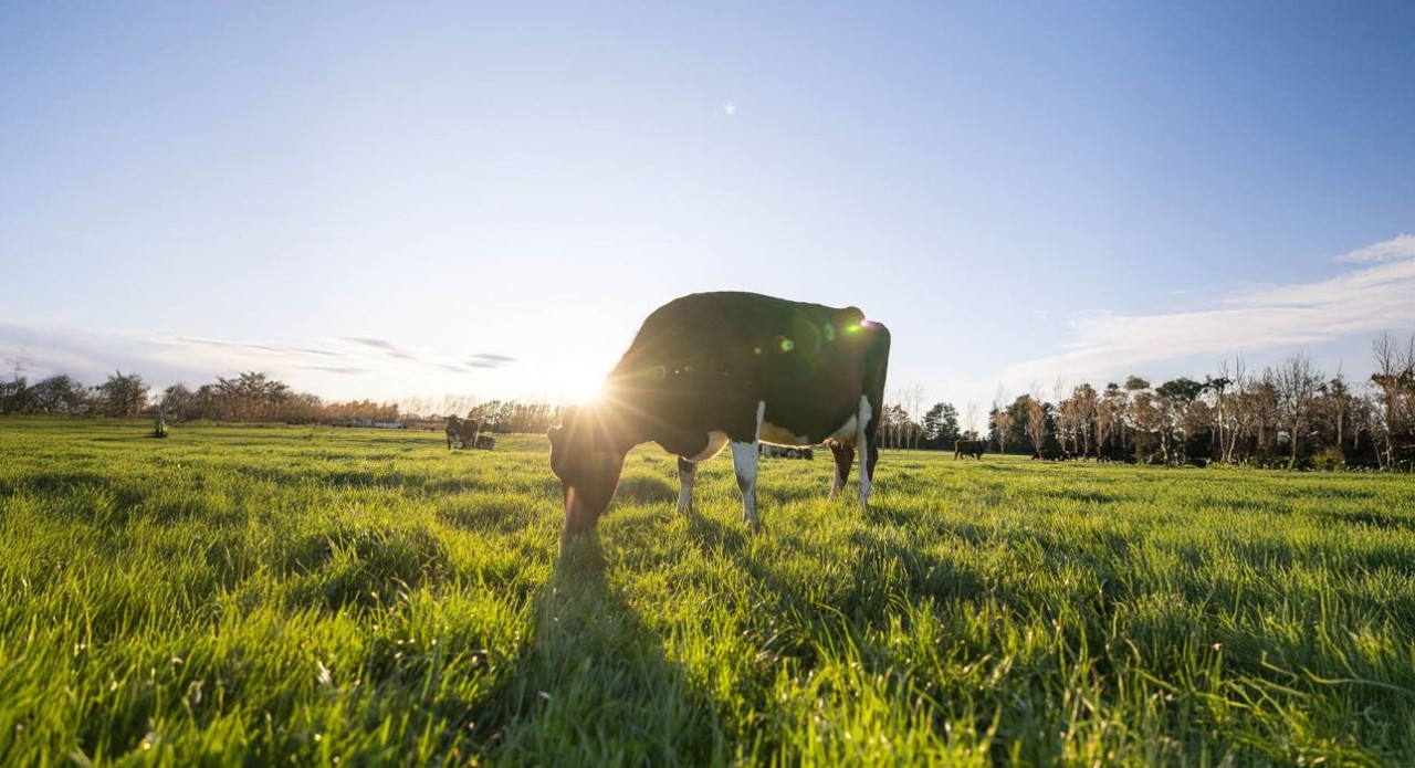 On-farm advice