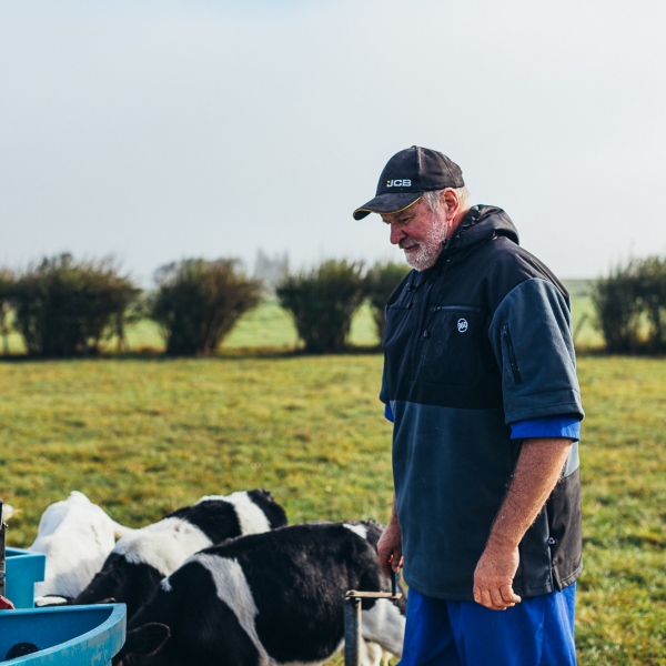 Farmer with cows