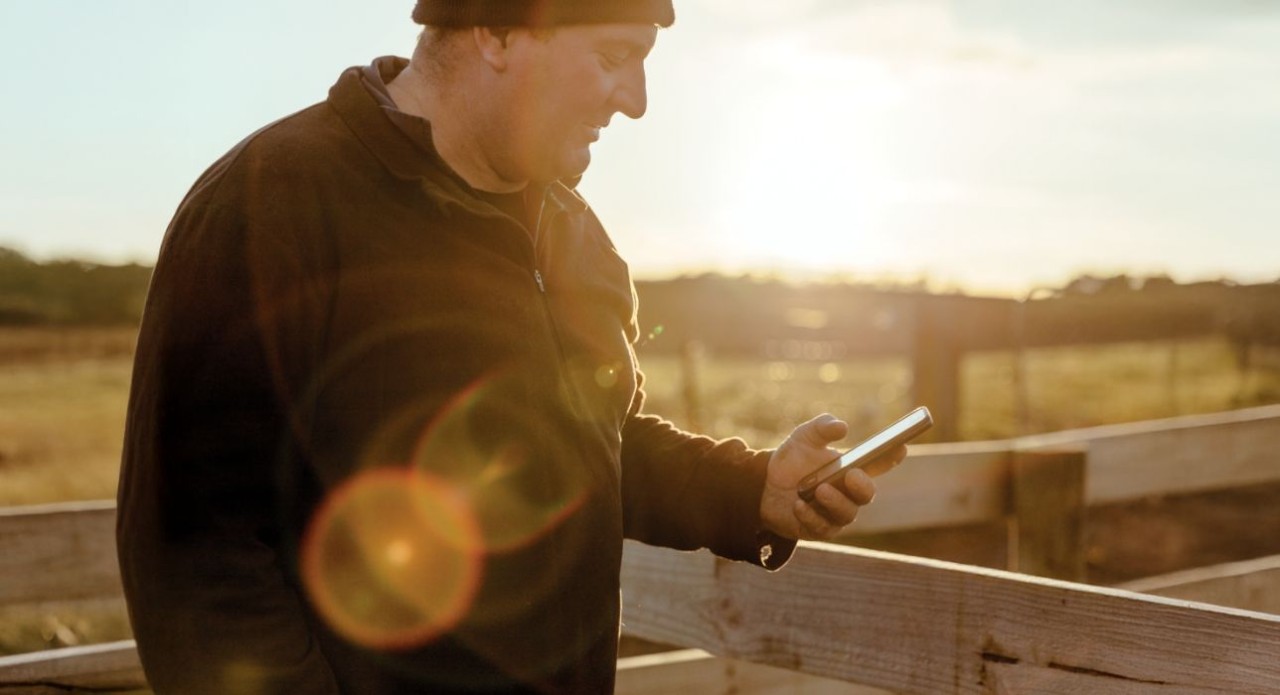 Customer Service Team