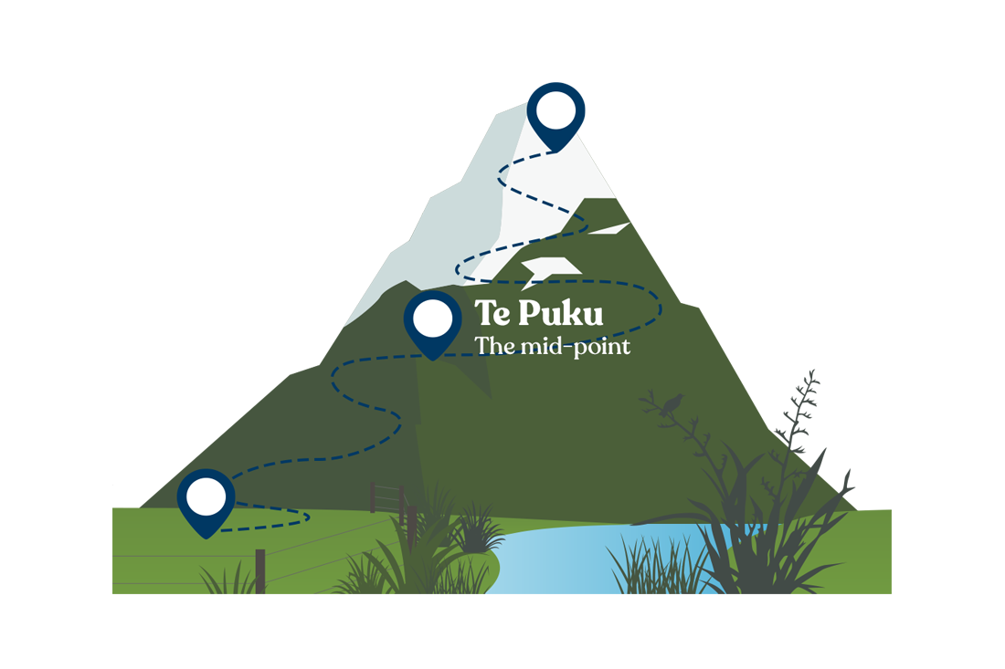 Mid point - Te Puku