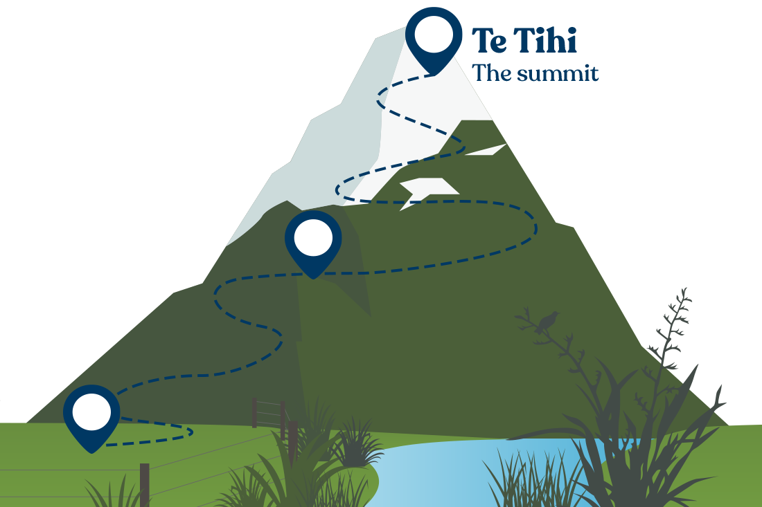 Te Tihi - the summit