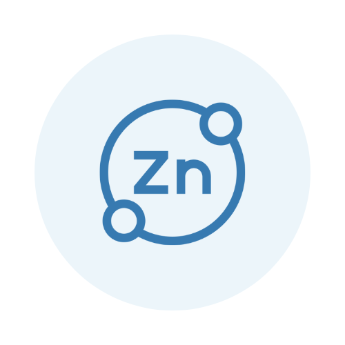 ZincCheck icon